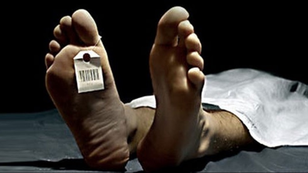 V&uuml;cudunuzu bilime bağışladığınızda ne oluyor?