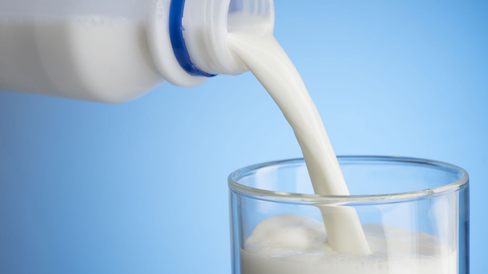 &Uuml;retici de 14 rafta 44 lira