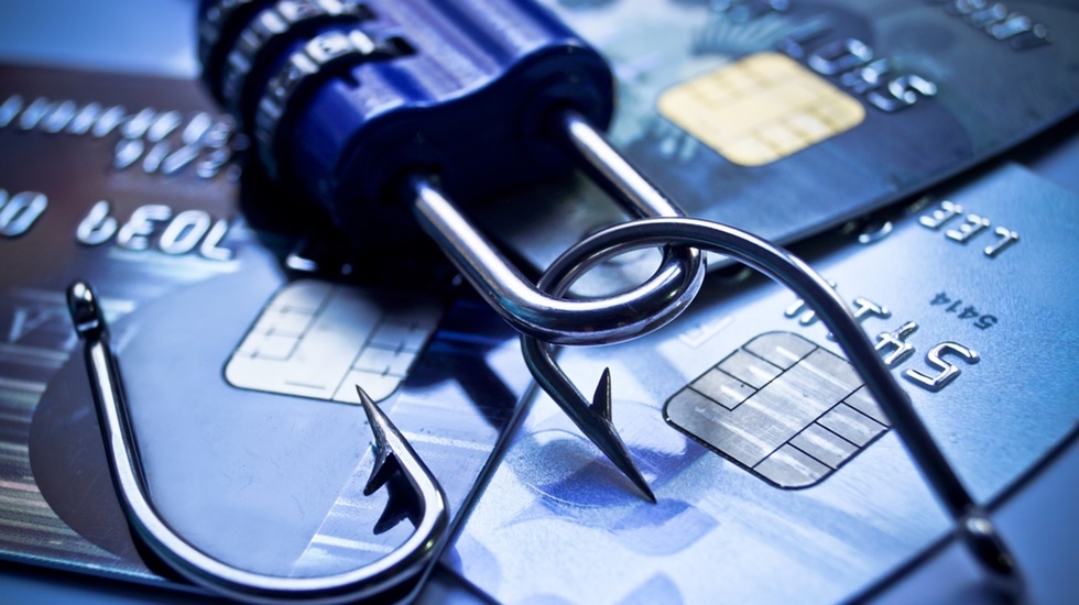 23 ilde onlarca ş&uuml;pheli yakalandı!