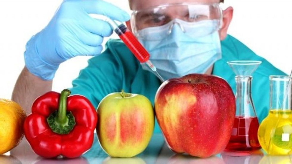 Gemiler dolusu tonlarca zehir y&uuml;kl&uuml; gıda soframıza nasıl girdi?