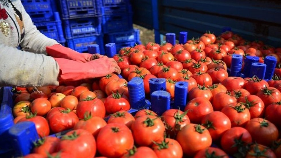 CHP'li Zeynel Emre: Zehirli &Uuml;r&uuml;nler Soframızda mı?