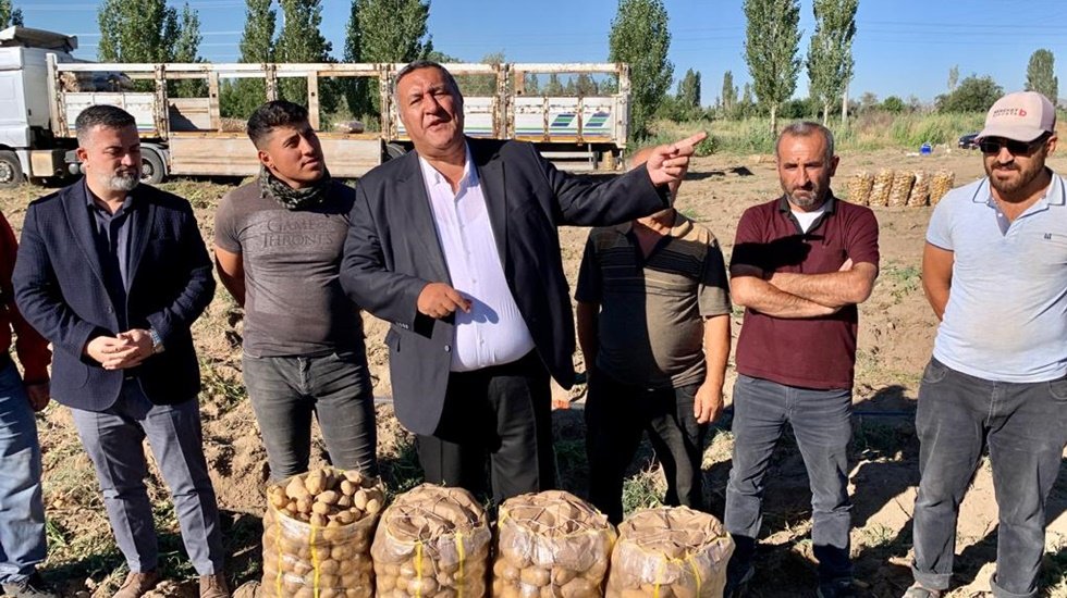 Karpuzda sonra patates de tarlada kaldı...