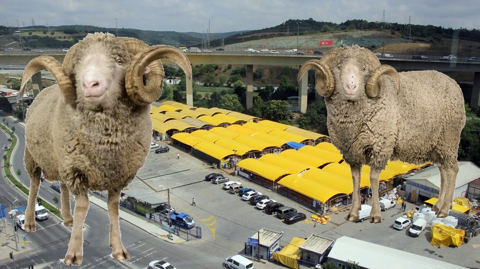 Kurbanlık fiyatı, 2 yılda y&uuml;zde 566 arttı