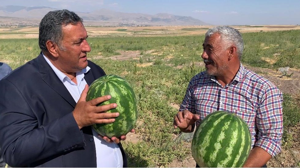 Karpuzun tarlada y&uuml;z&uuml;ne bakan yok...