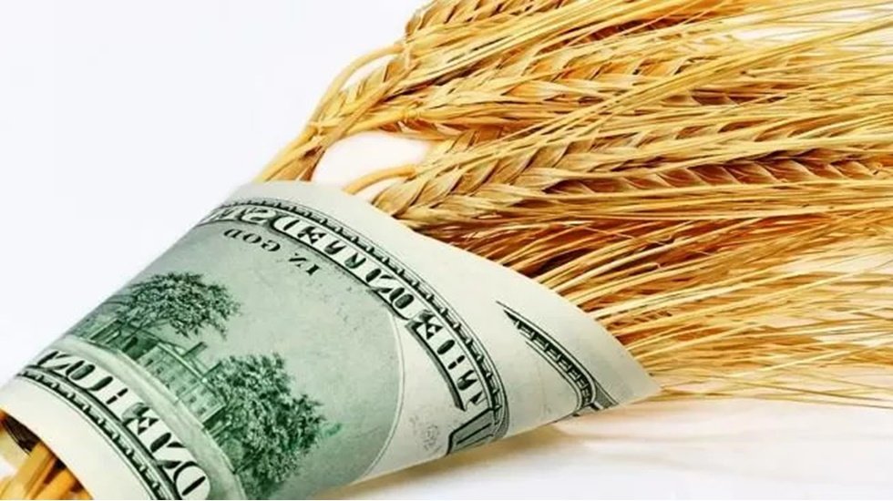 Buğday ithal eden AKP iktidarı, 25 milyar doları yerli &uuml;retici yerine yabancı &ccedil;ift&ccedil;ilere &ouml;dedi...