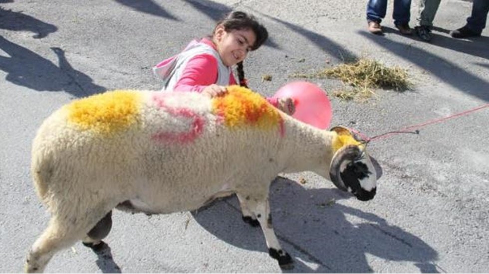 Kurbanı vatandaşa haram ettiler!