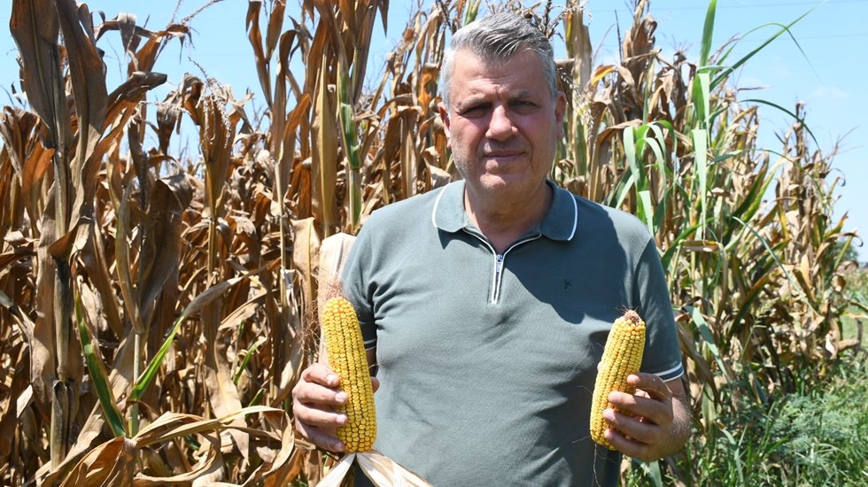 Barut: "Bilin&ccedil;li bir senaryoyla &ccedil;ift&ccedil;inin malına &ccedil;&ouml;kmek istiyorlar"