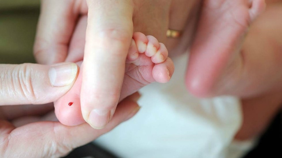 Topuk kanı davasında yeni gelişme: Sağlık bakanlığı kararı istinafa taşıyor