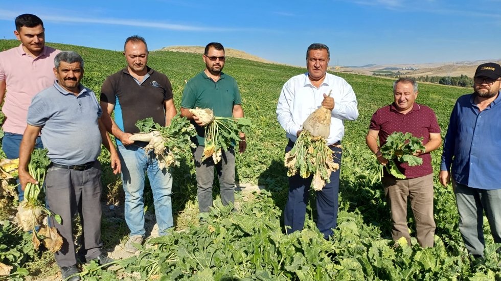 &Ccedil;ift&ccedil;i şekerpancarı &uuml;retiminden uzaklaşıyor