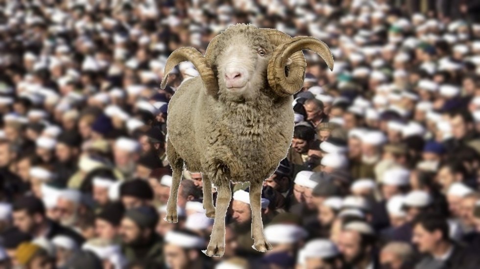 Kurban vek&acirc;letleri Hizbullah&rsquo;a gidiyor...