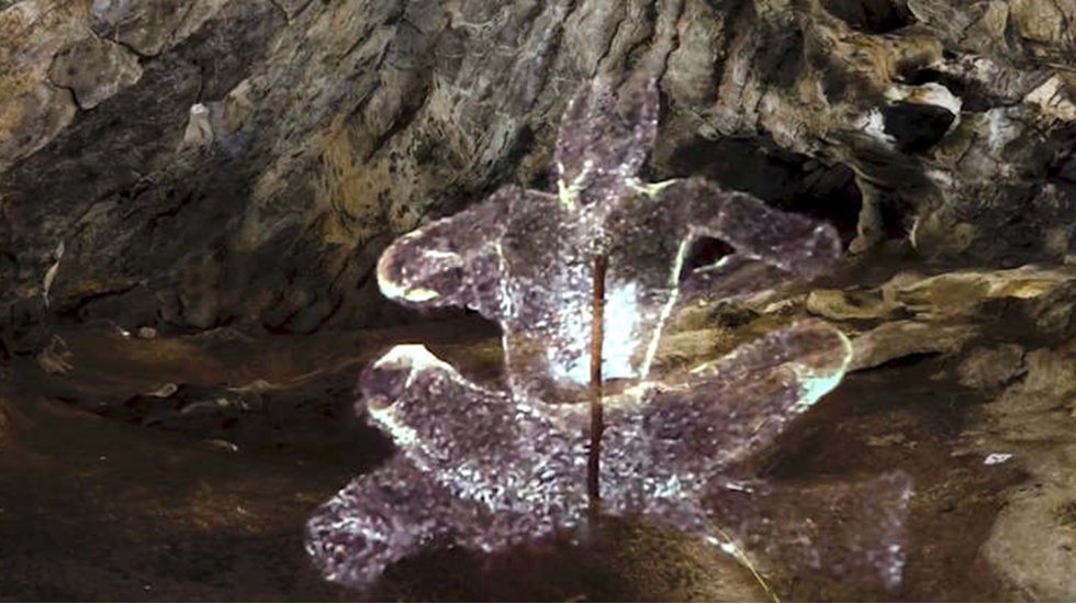 Mağaranın derinliklerine inen araştırmacının g&ouml;rd&uuml;kleri karşısında g&ouml;zleri faltaşı gibi a&ccedil;ıldı!