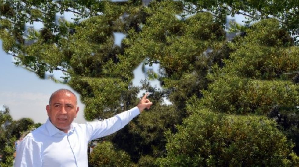 Dikkat geleceğimiz tehlikede! Ormanlarımız g&ouml;z g&ouml;re g&ouml;re yok ediliyor...