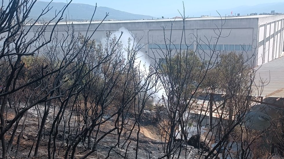 Yangın fabrikalara ulaşmadan kontrol altına alındı