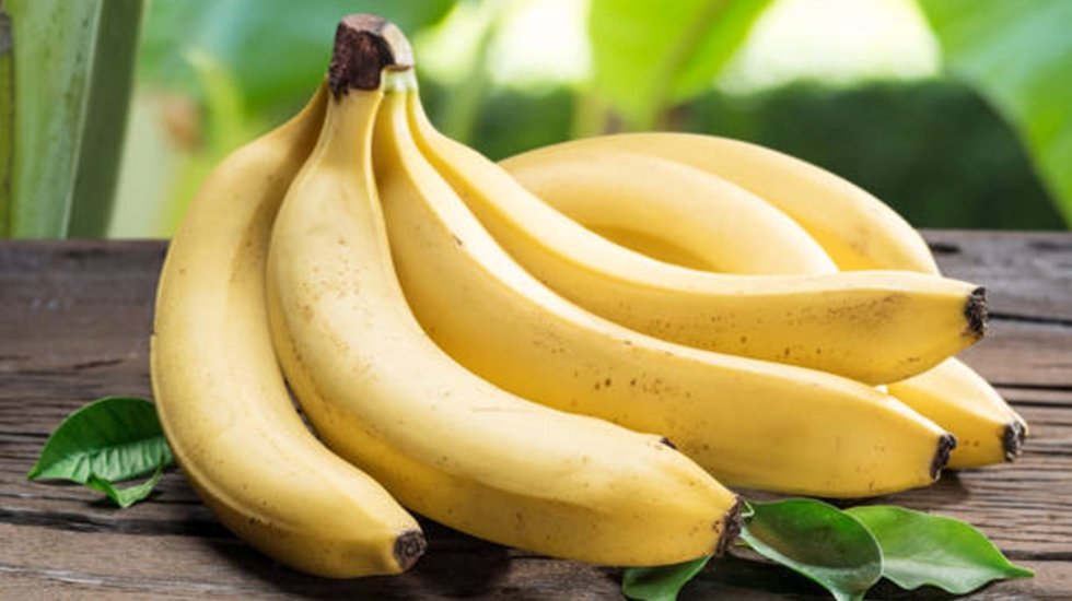 Yok olma tehlikesiyle karşı karşıya. O hastalık meyvenin k&ouml;k&uuml;n&uuml; kurutabilir.