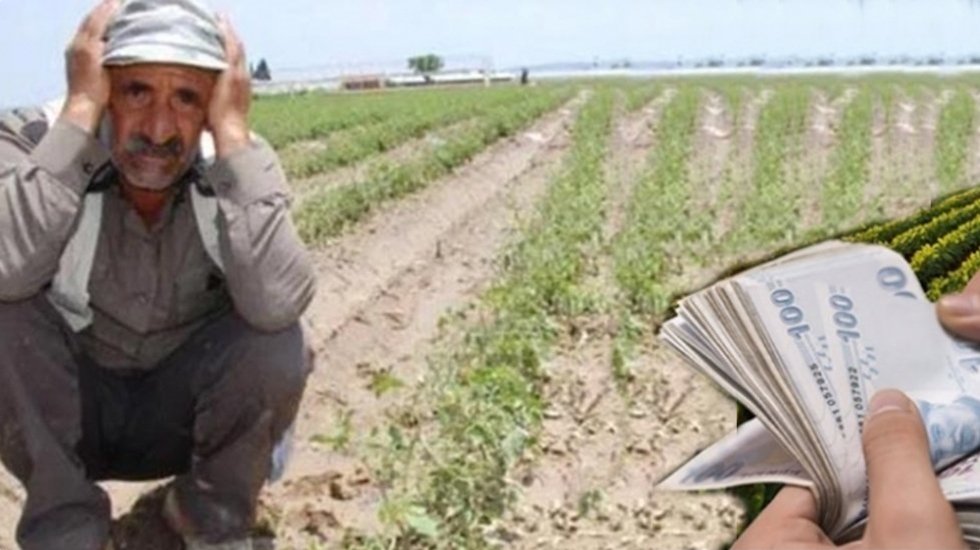 Tarım Bağ-Kur&rsquo;lu Sayısında Dramatik Azalma