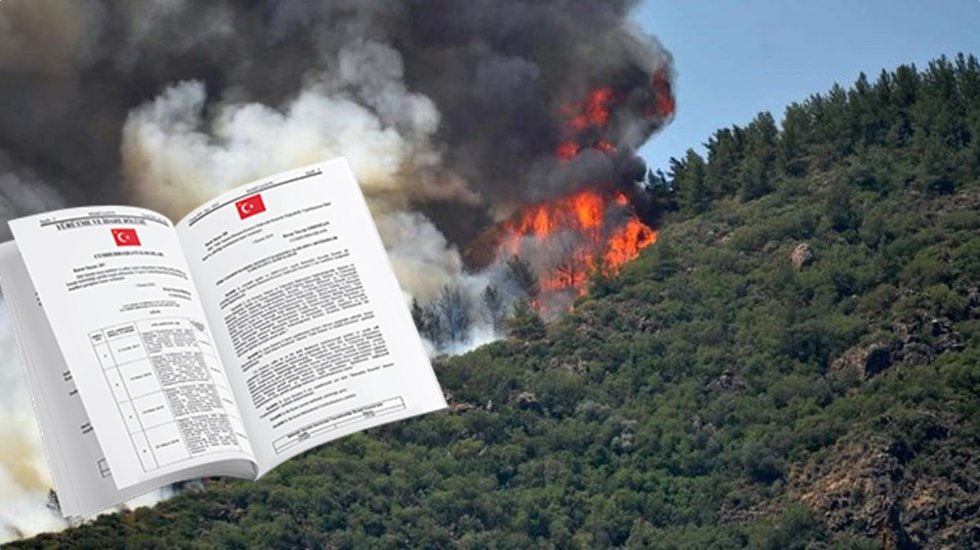 İzmir'de yangınlar sonrası orman alanları yapılaşmaya a&ccedil;ıldı