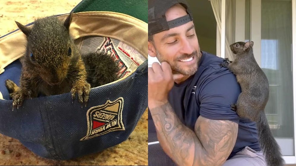 Evcil sincap, yetkililer tarafından sahibinin evinden alındıktan sonra &ouml;ld&uuml;r&uuml;ld&uuml;...