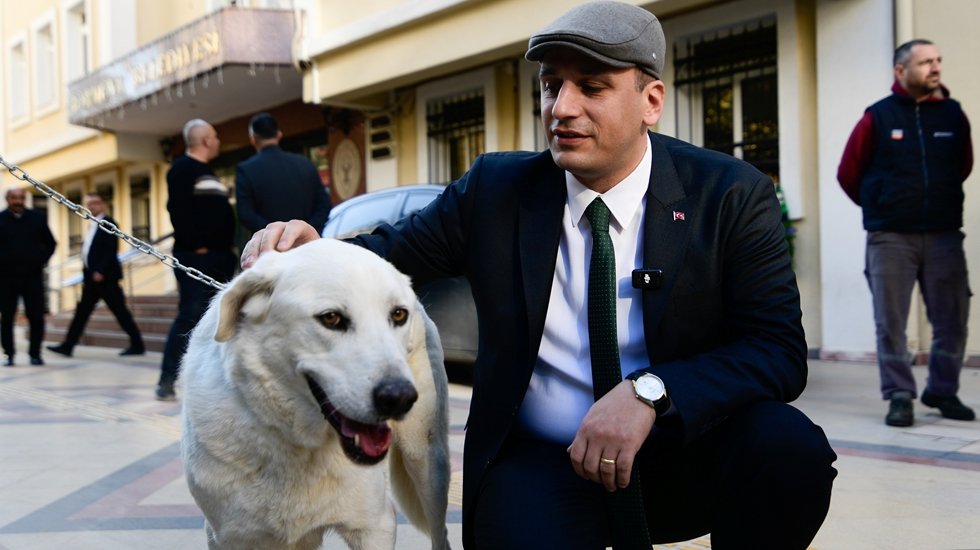 Başkan Sokak K&ouml;peği Paşa&rsquo;yı uyutmadı kendisi sahiplendi