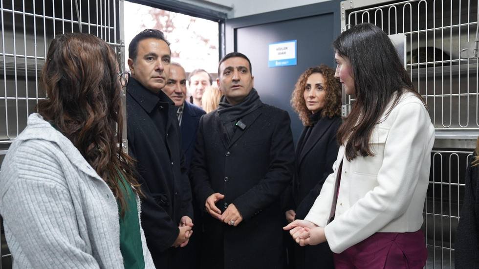 Beyoğlu&rsquo;nda tam te&ccedil;hizatlı yeni &lsquo;Sahipsiz Hayvan Bakımevi&rsquo; hizmete a&ccedil;ıldı