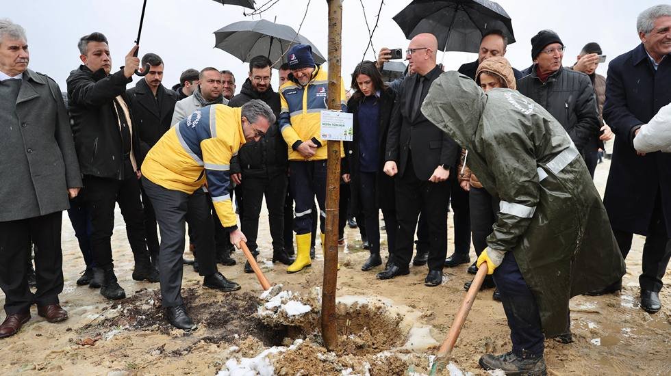 Bu fidanlar yangın felaketinde yaşamını yitiren 78 can i&ccedil;in yeşerecek...