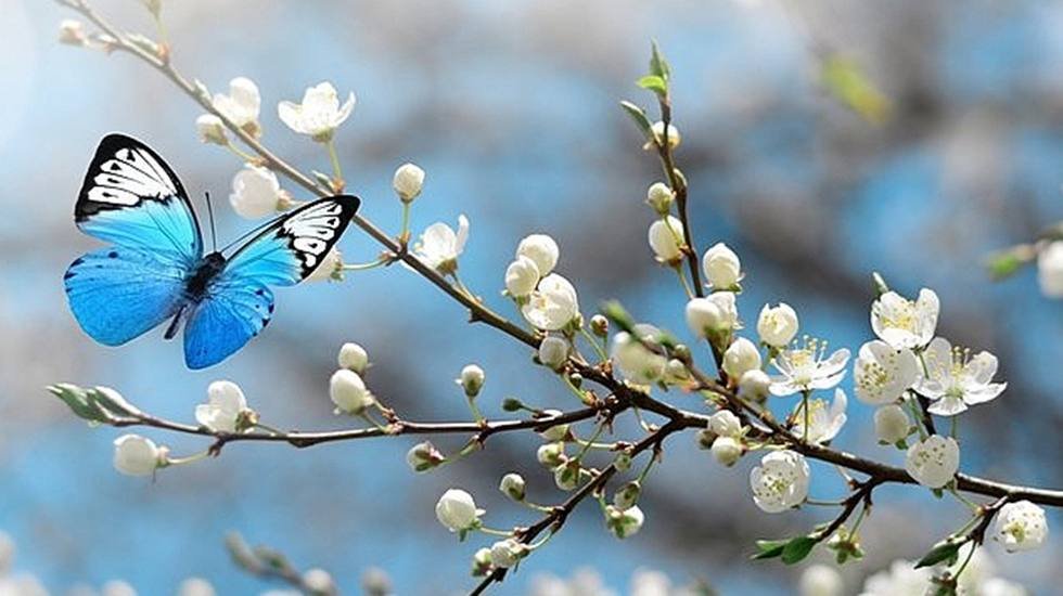İlk cemre ne zaman d&uuml;şecek?