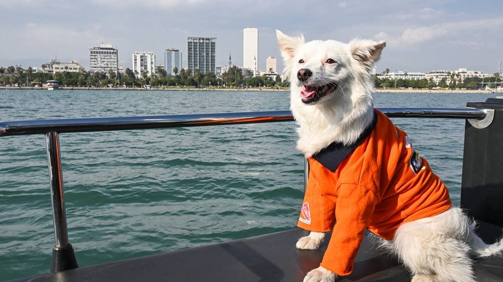 K&ouml;p&uuml;k, ekiplerle birlikte deniz denetimine &ccedil;ıkıyor