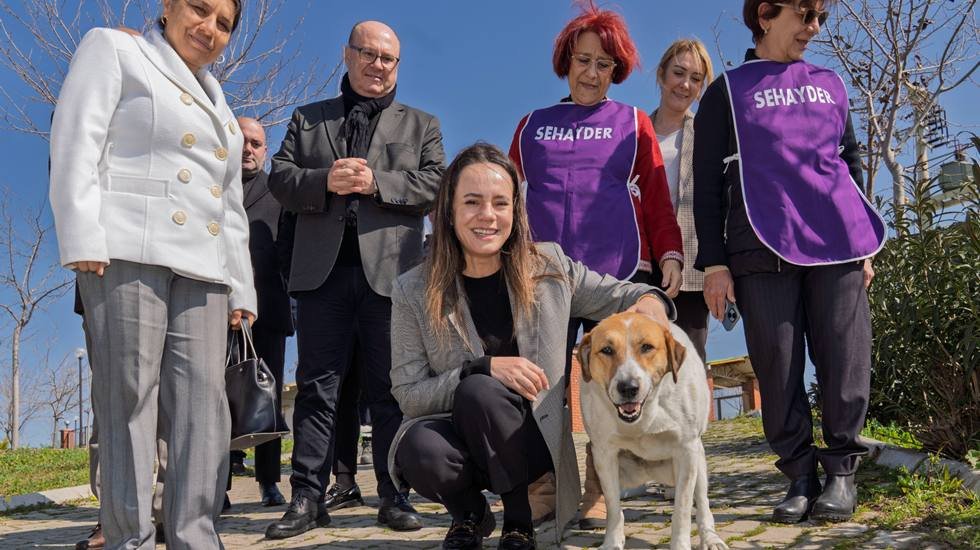 Bir patili dostunuz olsun istermiydiniz?